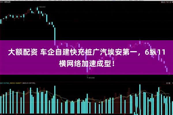 大额配资 车企自建快充桩广汽埃安第一，6纵11横网络加速成型！